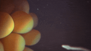 form control GIF