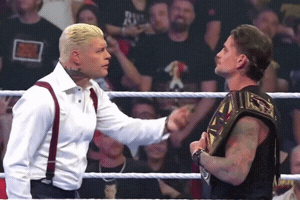 Cm Punk Wwe GIF