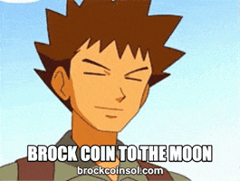 BrockOnSol pokemon lets go winner champion GIF