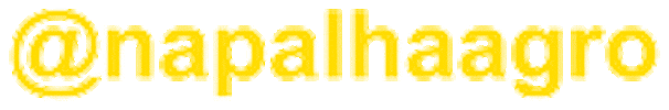 Napalha Sticker