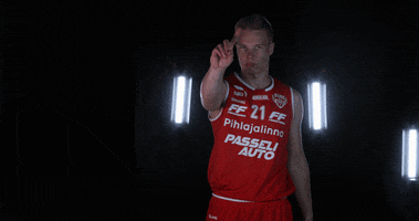 Vilpas Vikings GIF