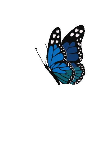 Animals Sticker