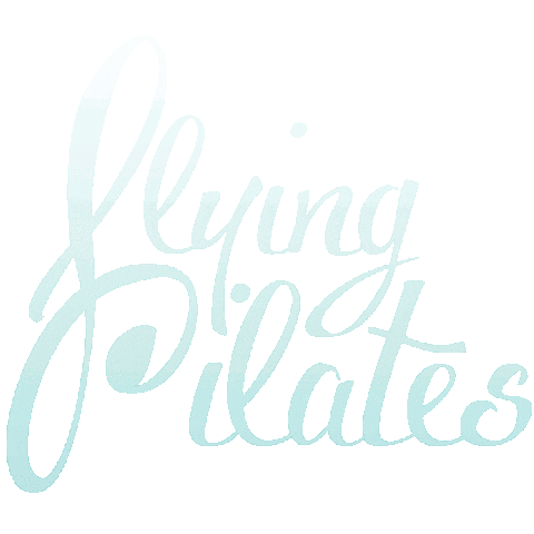 Fly Aerialpilates Sticker by Flying Pilates