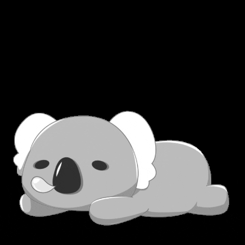 Koala GIF
