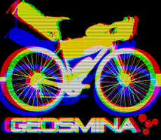 Geosmina bike bags bikepacking cicloturismo GIF