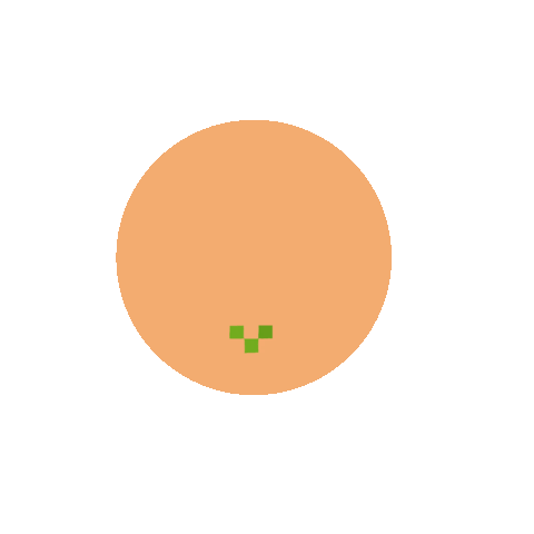 Animated Sticker