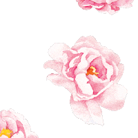 200w.gif?cid=ecf05e475f1c897ee717078befc