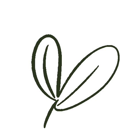 Bailey Creative Company Sticker