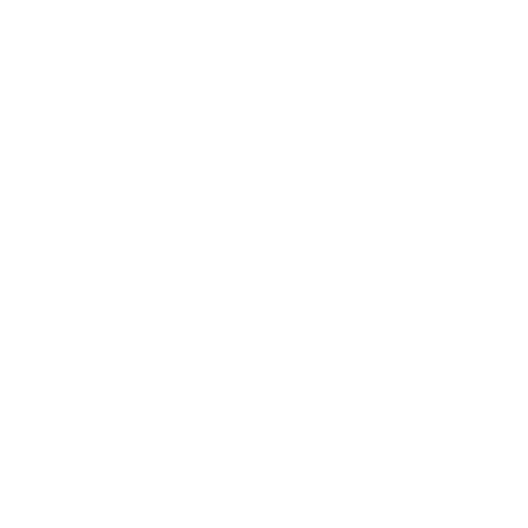 CTN Sticker