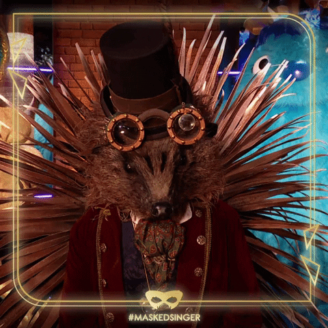 Hedgehog No GIF by The Masked Singer UK