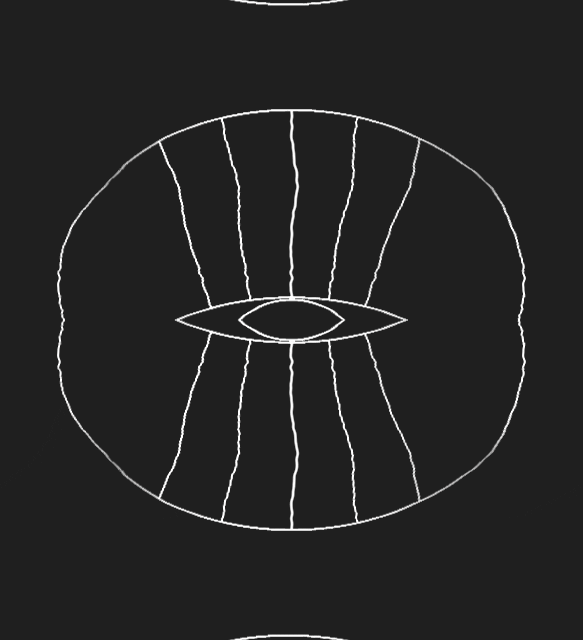 Illusionmiracle GIF