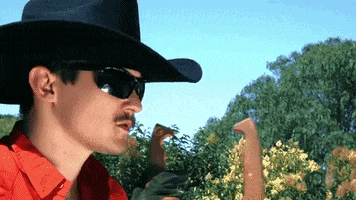 Chris Farren Cowboy GIF by Polyvinyl Records