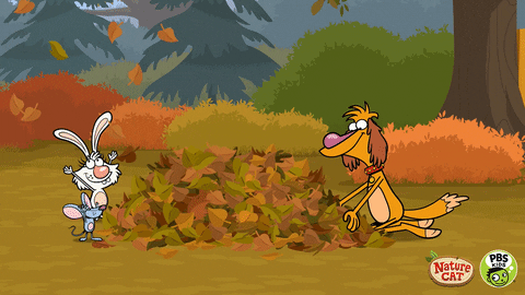 Excited Autumn Leaves GIF by PBS KIDS