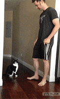 200.gif