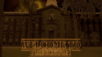 Princeton netflix college orange welcome GIF