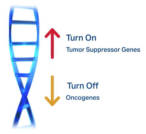 A graphical depiction of oncogenes