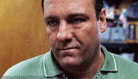 the-sopranos-tony-soprano-MCGbKRgIbgJxu