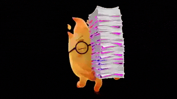 OidoTipi GIF