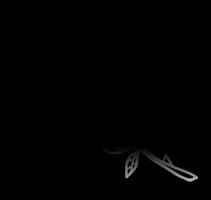 LXVE GIF