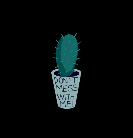 Plants Cactus GIF