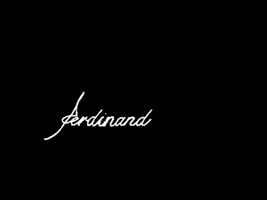 FerdinandConcept ferdinand ferdinandconcept ferdinandtotallook GIF