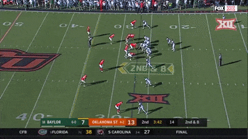 Baylor Hasty GIF