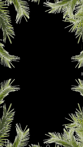 Plant Frame GIF by Maas Natur