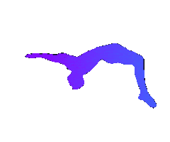 Academy Of Movement Sticker