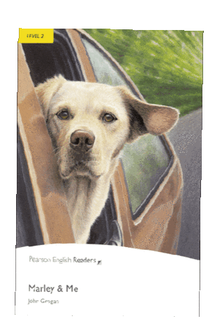 Pearson English Readers Sticker