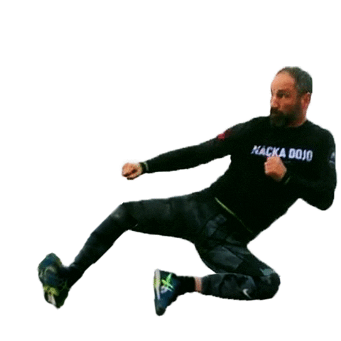 Spark Traning Sticker by Paolo Roberto