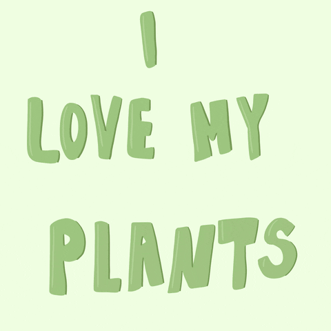 Plants Greens GIF