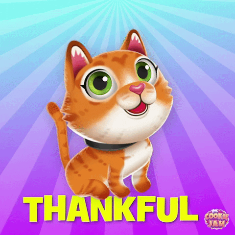 Orange Cat Thank You GIF by Cookie Jam