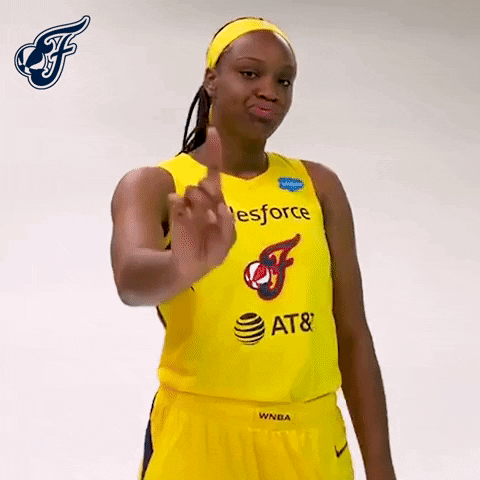 Get Out No GIF by Indiana Fever