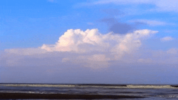 Beautiful Coxs Bazar GIF