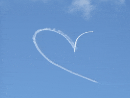 Heart Love GIF by FLYLA
