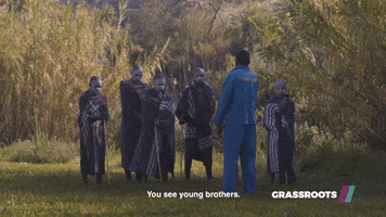grassroots GIF by Showmax