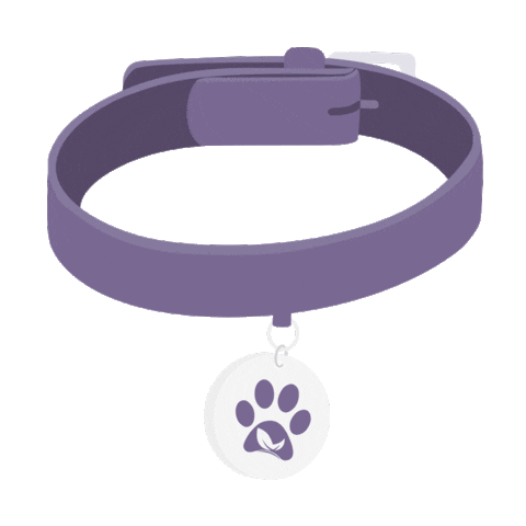 Pet Sticker by MedterraCBD