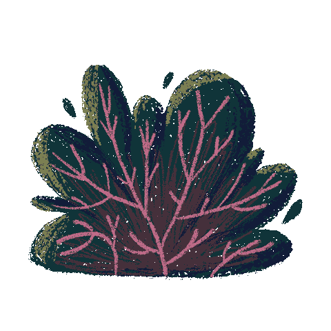 Bush Planta Sticker by Vane_Quiroz_ilustracion