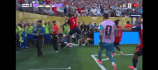 Argentina GIF