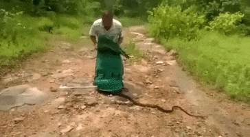 Snakes Unleash GIF