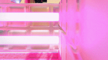 Happy Dance GIF by L.OL. Surprise!