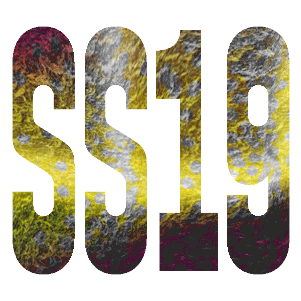 Summer Reach Sticker by Lecrae