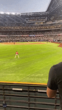 Aaron-judge-homerun GIFs - Get the best GIF on GIPHY