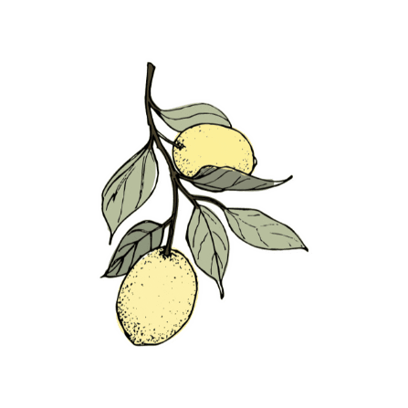 Fraiche Living Sticker