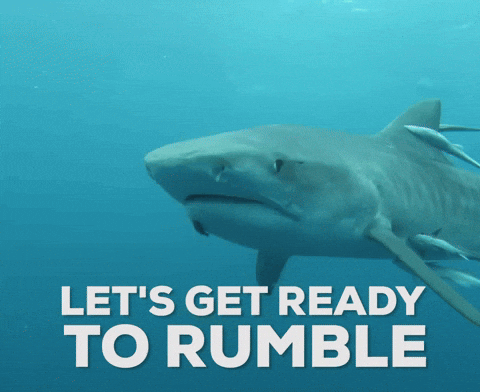 Lets Get Ready To Rumble Discovery Gif By Shark Week Find Share On Giphy