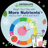 Healthy Breakfast Herbalife Shake GIF by Herbalife Nutrition Philippines