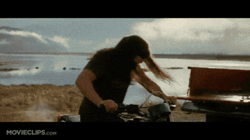 Firecracker bella.jake GIF