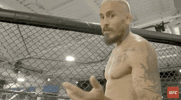 Sparring Marlon Vera GIF by UFC