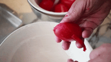Food GIF