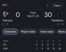 Panthers Vs Falcons GIF